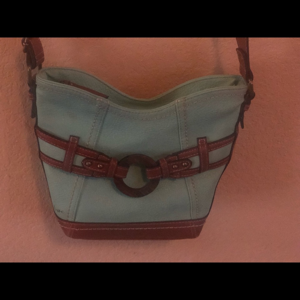 Cute Agua and Brown Crossbody Bag